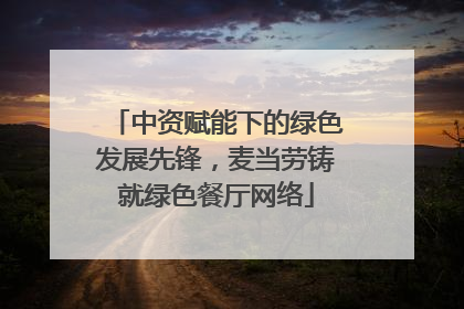 中资赋能下的绿色发展先锋，麦当劳铸就绿色餐厅网络